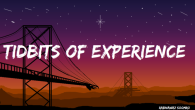 Tidbits of Experience