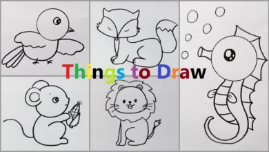 Things to Draw