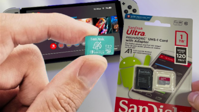 Nintendo Switch SD Card