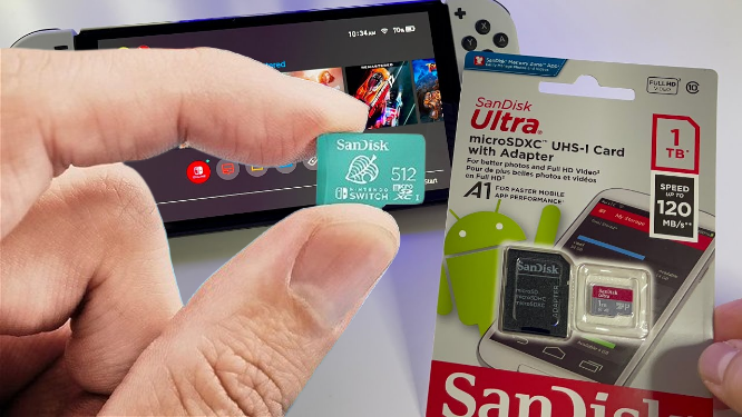 Nintendo Switch SD Card